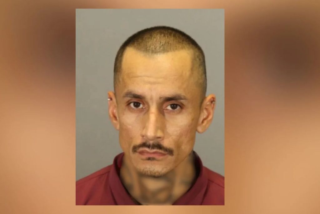 Man arrested, 1 on the run after 1 shot in the head in Ivanhoe, deputies say