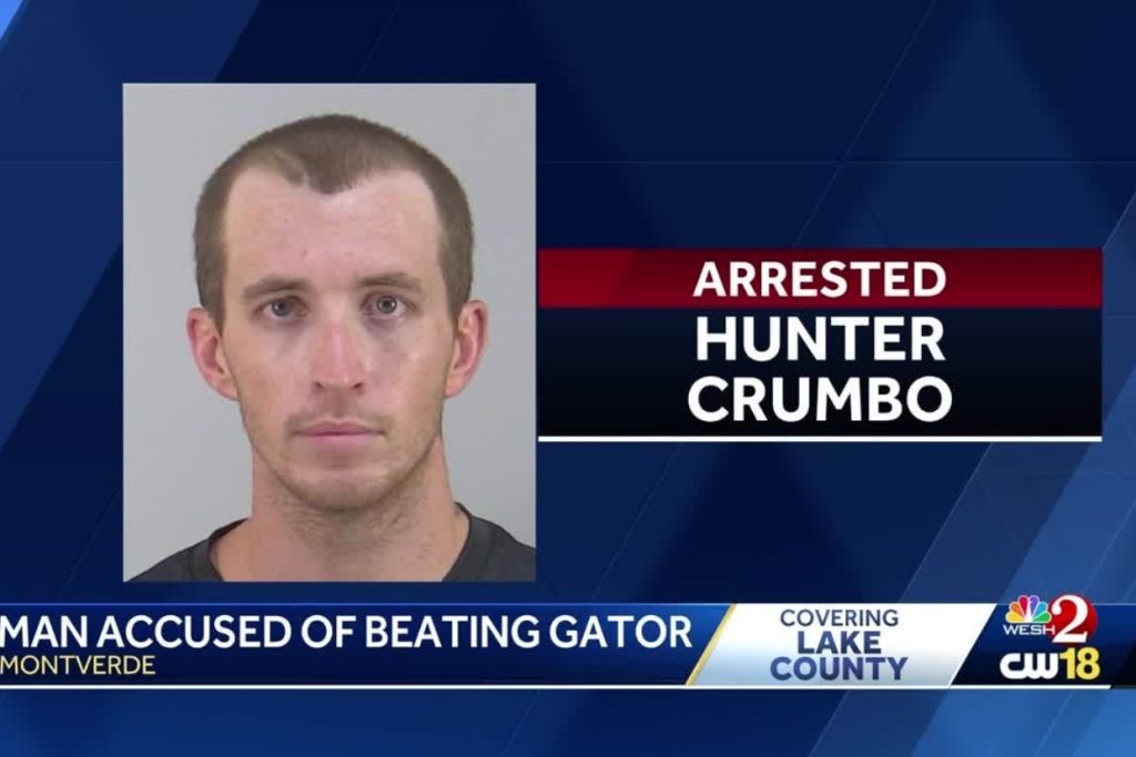 He Swung a Golf Club at a Gator—You Won’t Believe Why