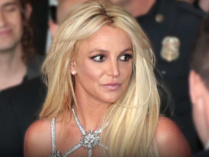 California Highway Patrol Takes Britney Spears to Hospital During DUI Arrest