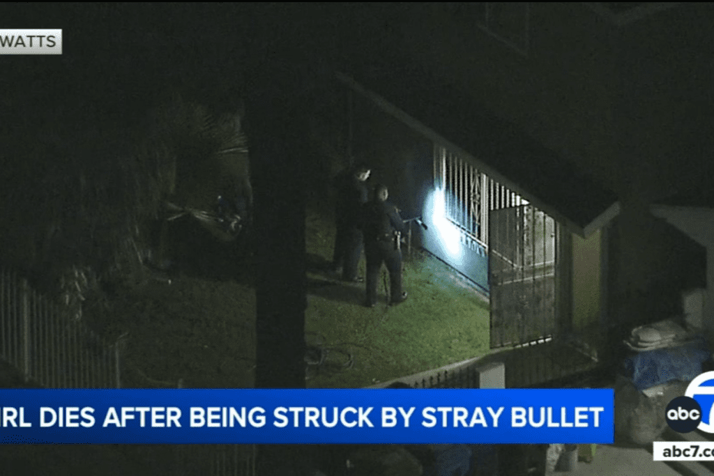 13-year-old girl dies after being shot in head by a possible stray bullet in Watts, police say