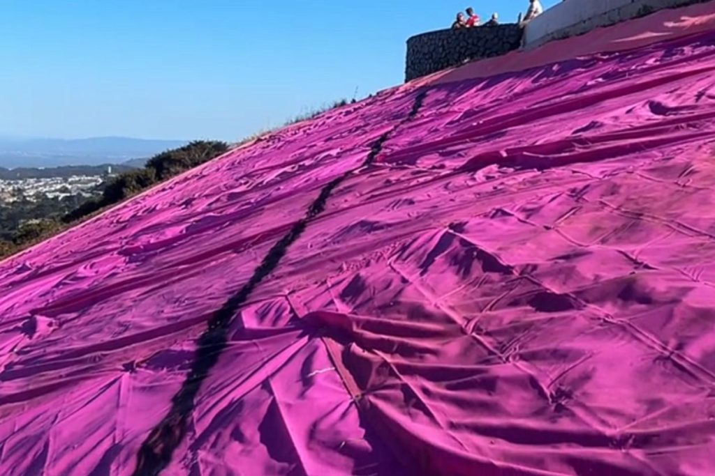 ‘Unacceptable in our city’: 19-year-old arrested in Pink Triangle vandalism