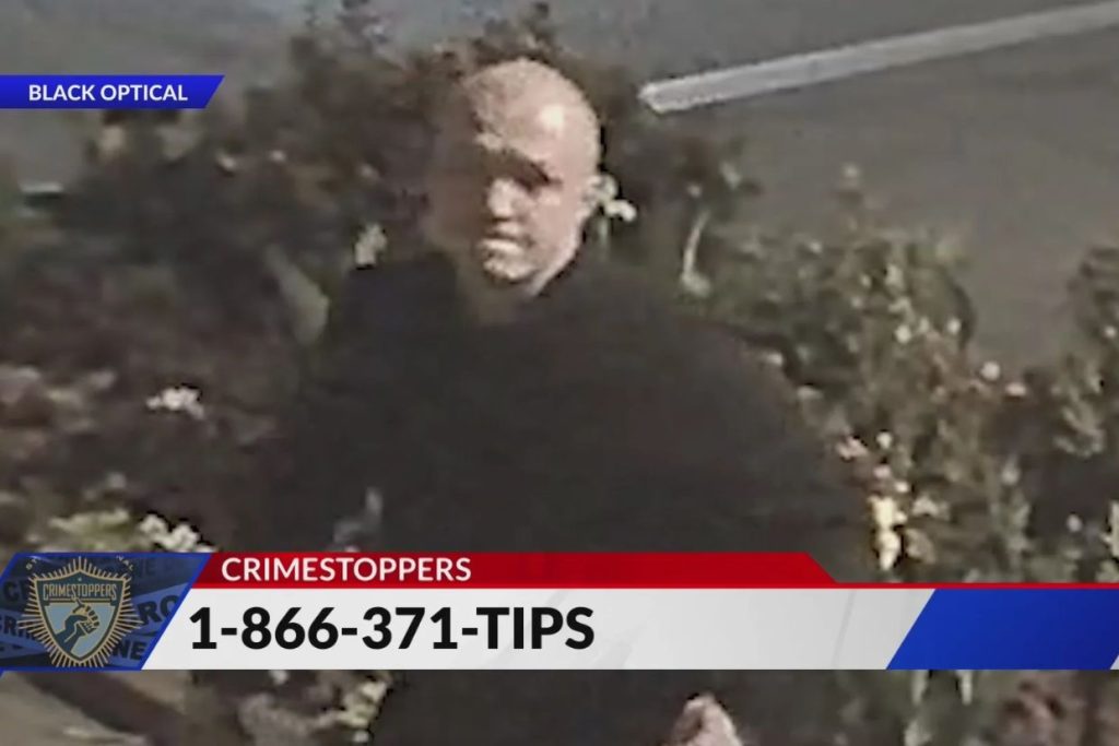 Man seen throwing rocks into CWE business