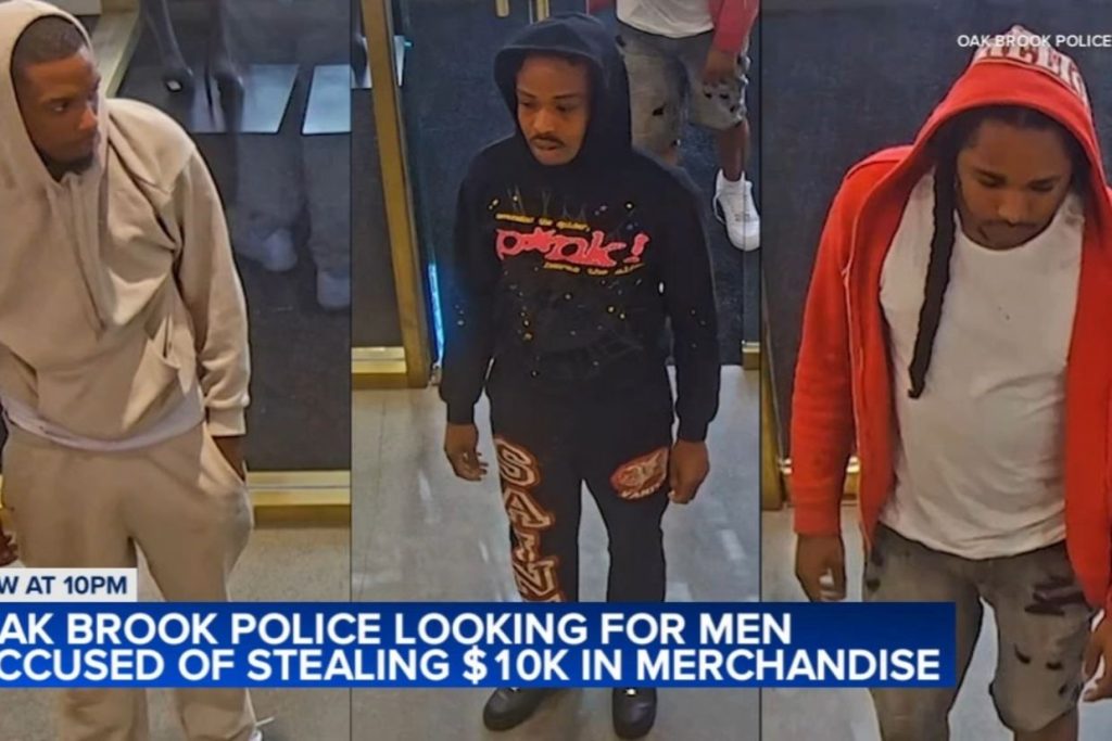 Suspects steal nearly $10K in merchandise from Alo Yoga in Oakbrook Center: police