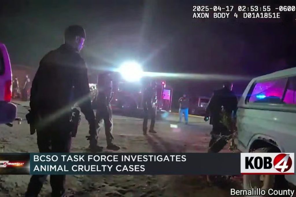 BCSO task force investigates animal cruelty cases