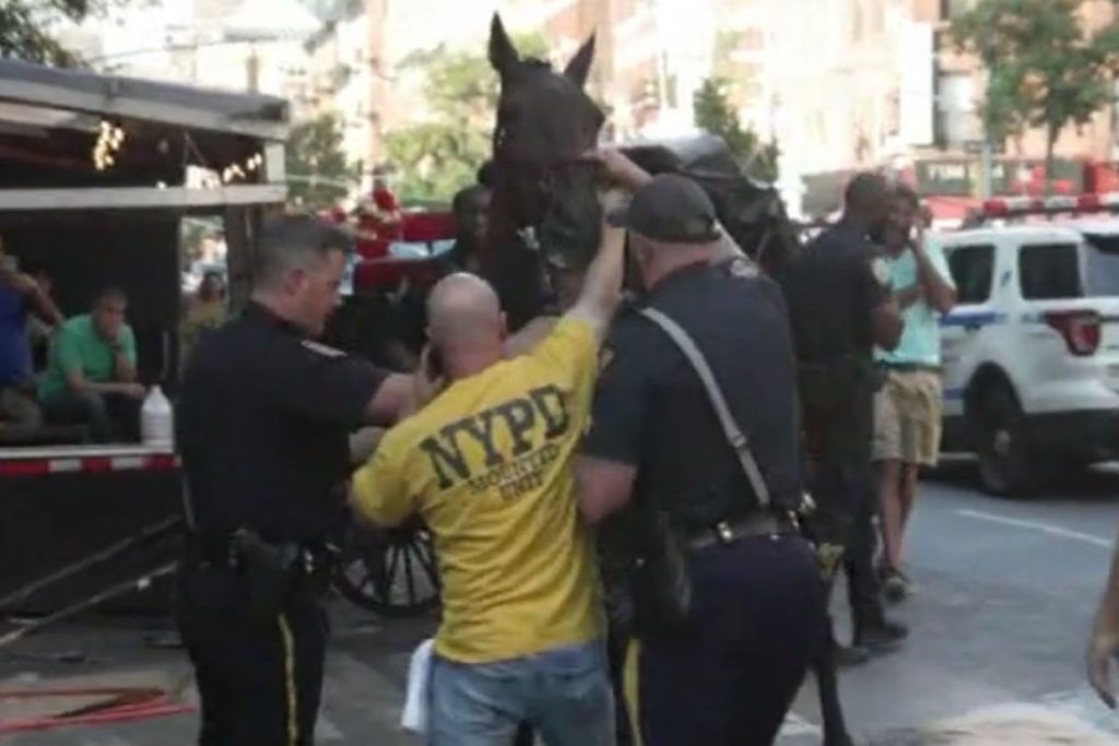 Carriage Driver Is Accused of Abusing a Sick, Elderly Horse — Until it Collapsed on N.Y.C. Street and Later Died