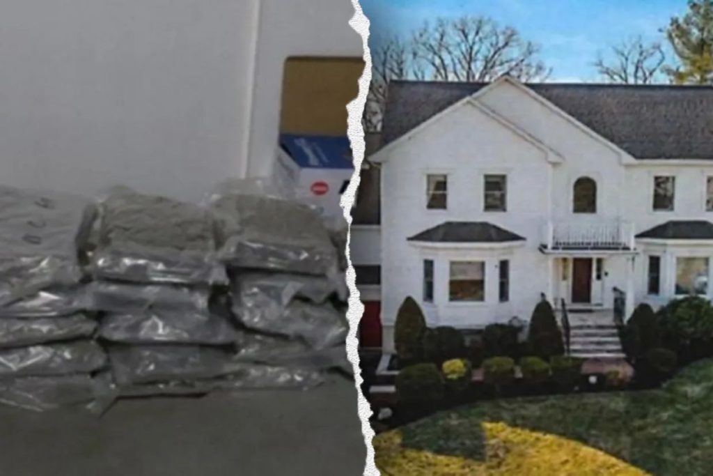 Seven Chinese nationals charged in multimillion-dollar marijuana trafficking operation