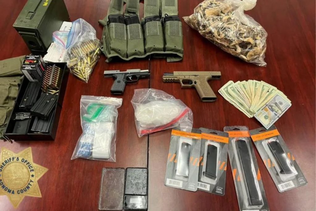 Cocaine, mushrooms and guns: Two arrested in Santa Rosa
