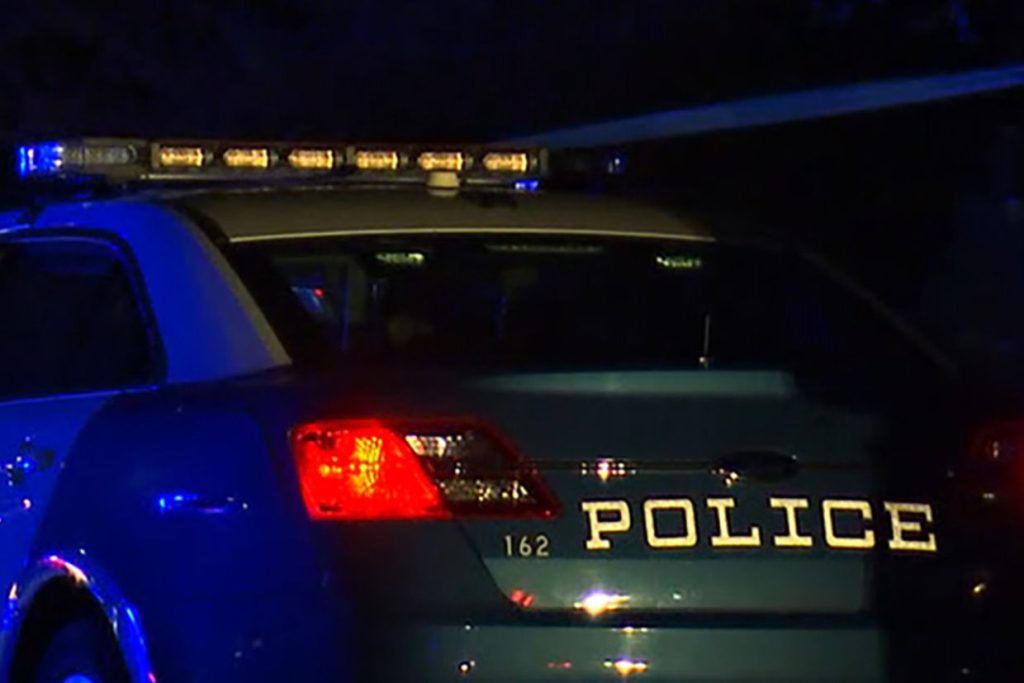 Raleigh man charged with murder in early morning assault