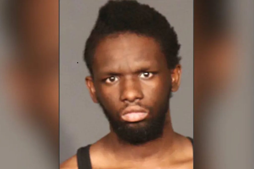 You won’t believe what detectives uncovered in dark web video—New York man’s alleged secret crimes