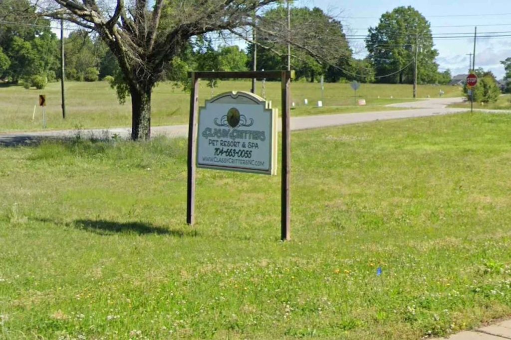 You won’t believe what this pet groomer did behind closed doors – exclusive video inside