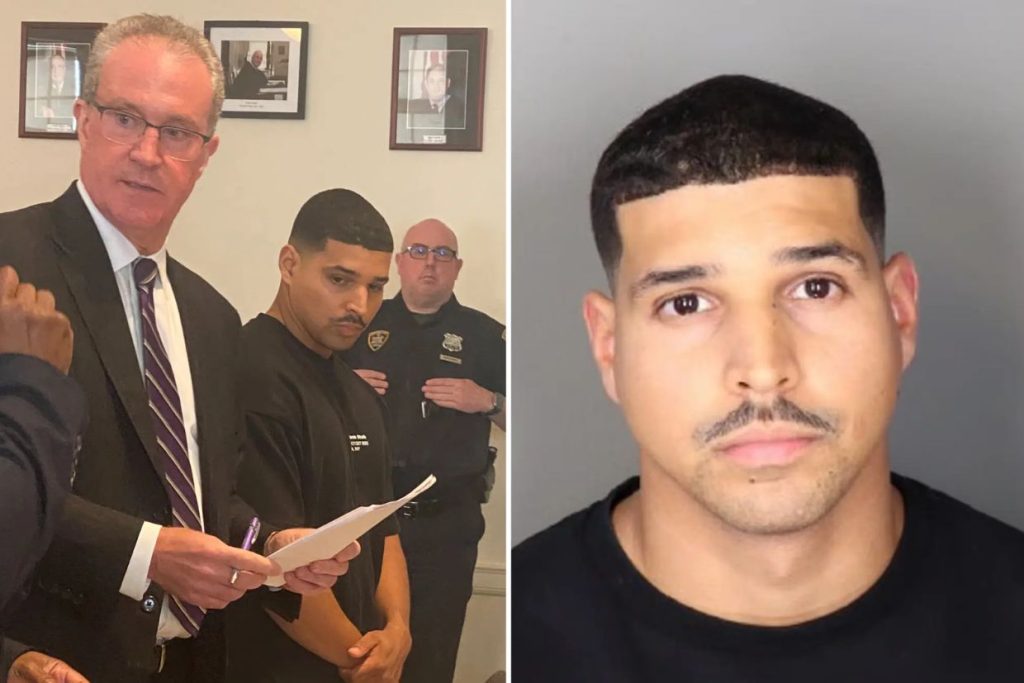 NYPD cop swiped $87K from elderly Wells Fargo clients to pay for ‘Booty’ exercises, BMW and tropical getaway: DA