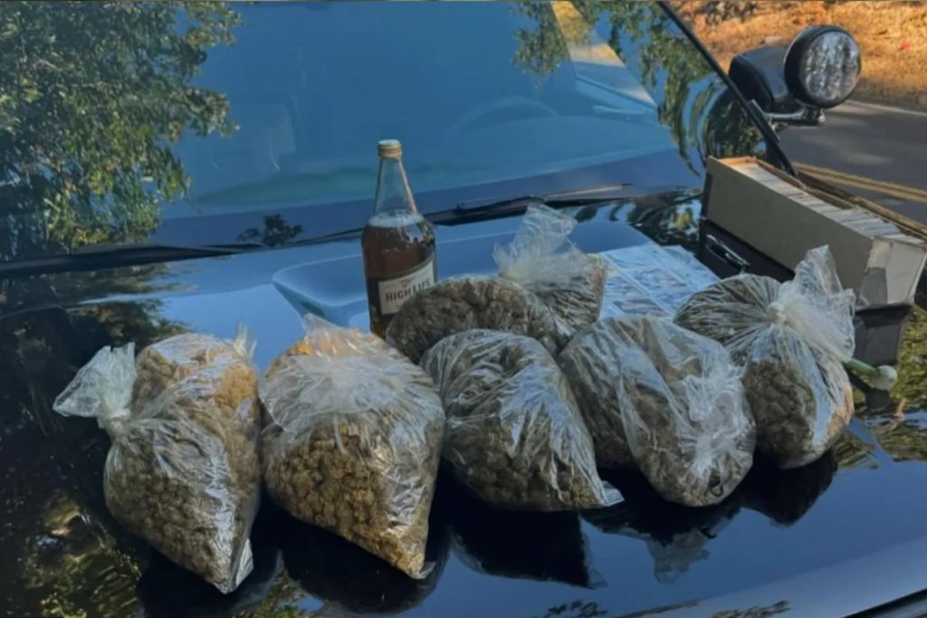 Officers Pulled Him Over for a Minor Violation—They Weren’t Expecting This