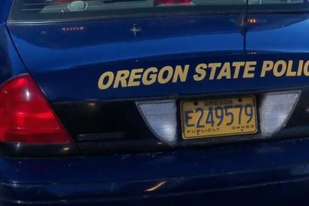 Semi-truck rolls over after swerving to avoid van, driver dies