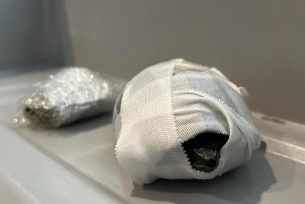 Florida Woman Tried to Board a Plane… With WHAT in Her Bra?!