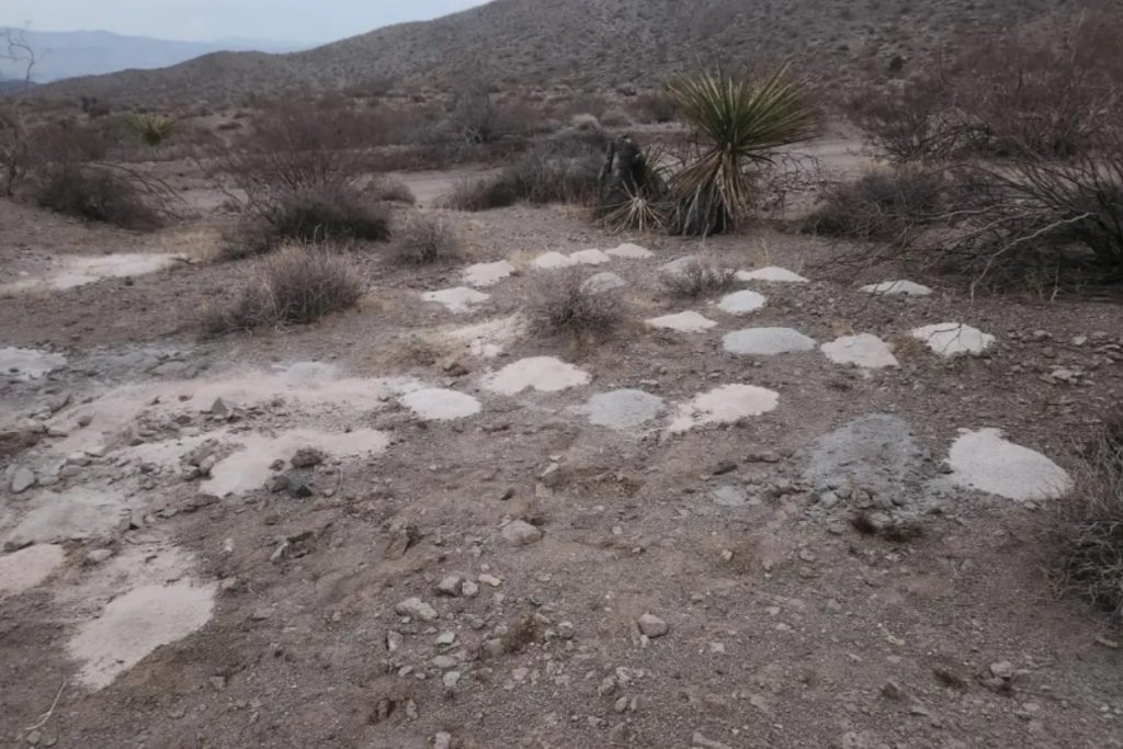 Vegas Desert Mystery: 70 Cremated Remains Discovered, Investigation Underway