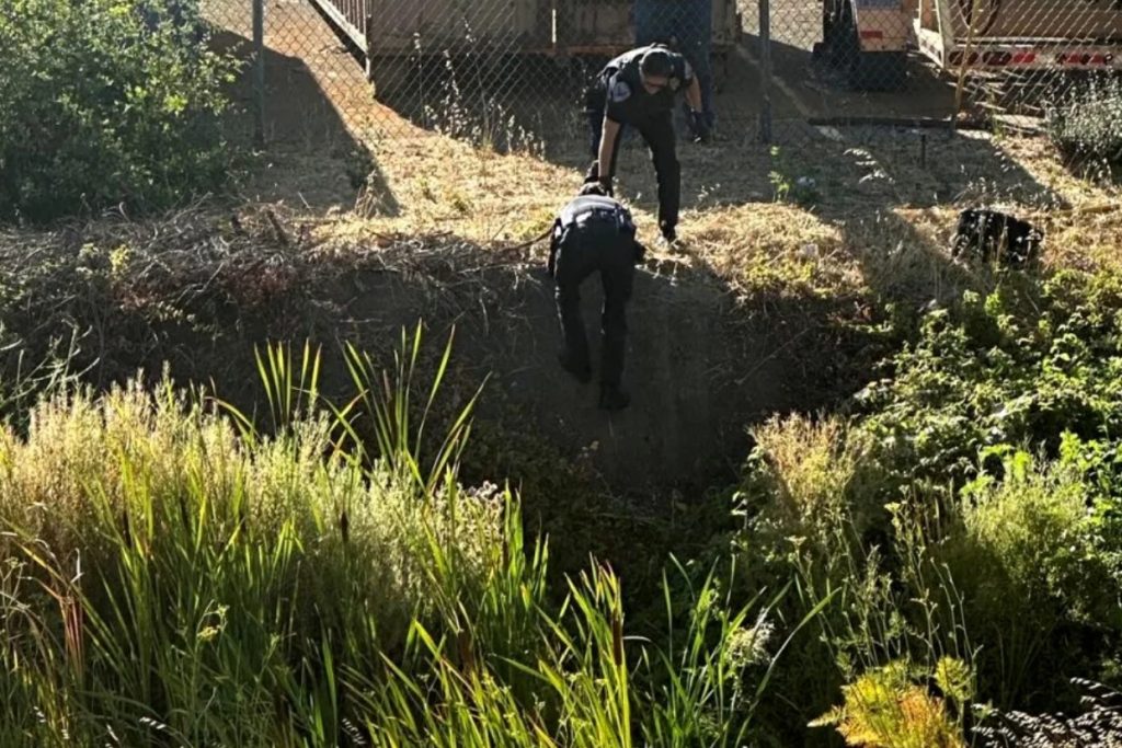 He thought he had a perfect crime—until the mud had other plans