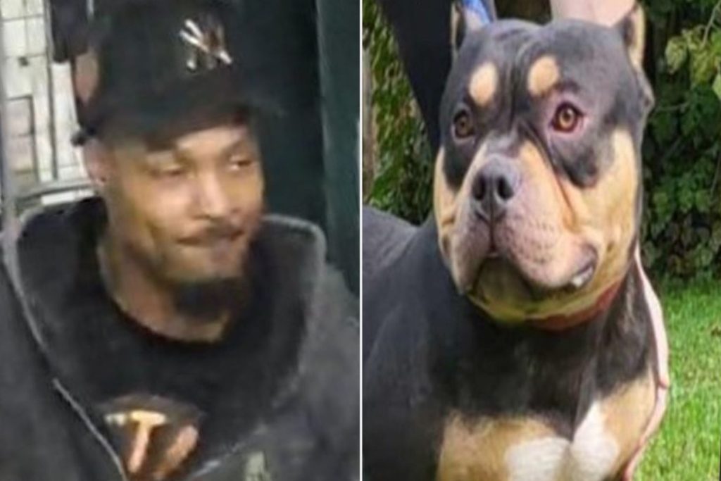 Dog Taken on NYC Subway, Reunited with Owner—You Won’t Believe How It Happened