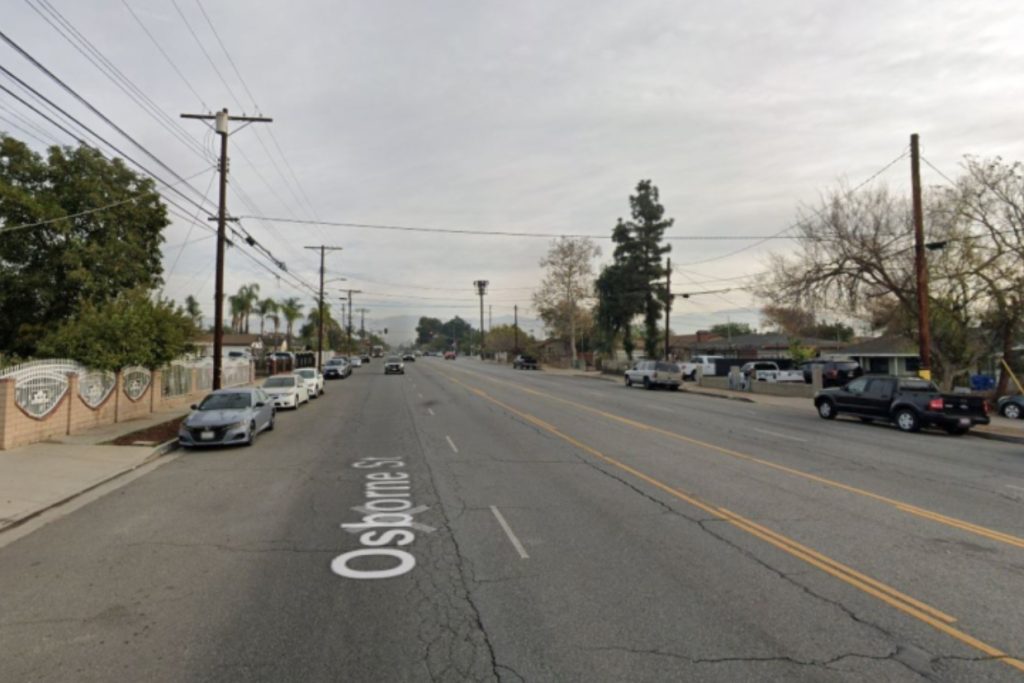 Pacoima Hit-and-Run Horror: Elderly Woman and Dog Killed — Suspect Finally Caught