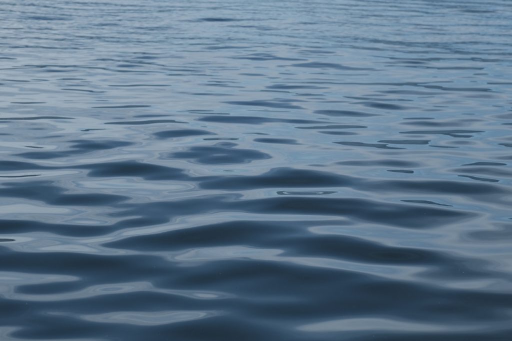 Horror in Ohio: mom allegedly throws 4-year-old into lake, says “God told her”