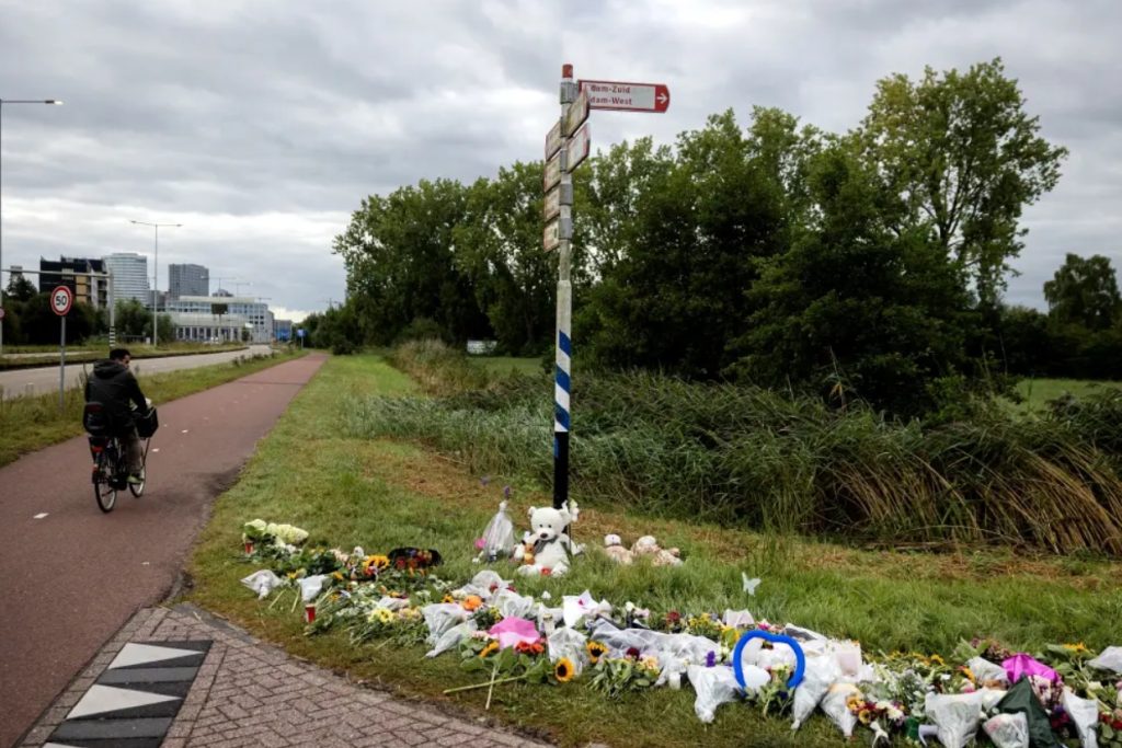 Brooklyn horror: teen girl murdered while dialing 911, asylum seeker charged