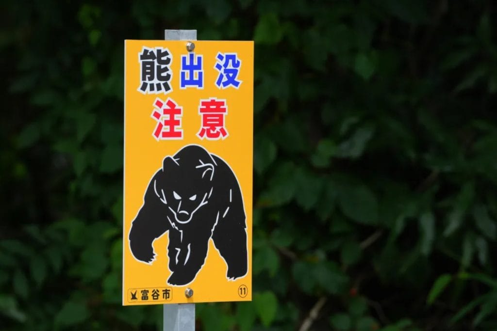 Japan Murder Twist: Cops Say ‘Bear Attack’ Was a Brutal Family Killing