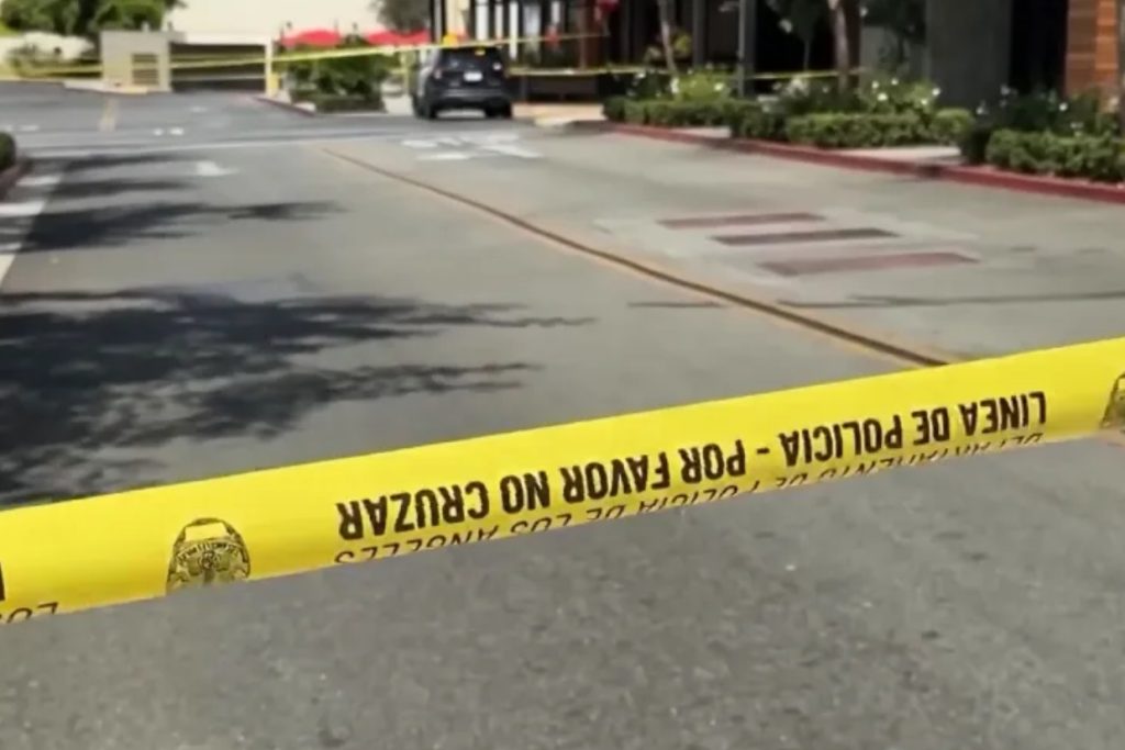 California Mall Horror: Mom Stabbed After Stranger Targets Toddler
