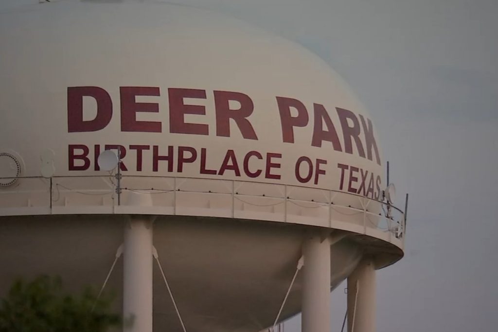 Burglary Suspect in Custody After Masked Break-In at Deer Park Business