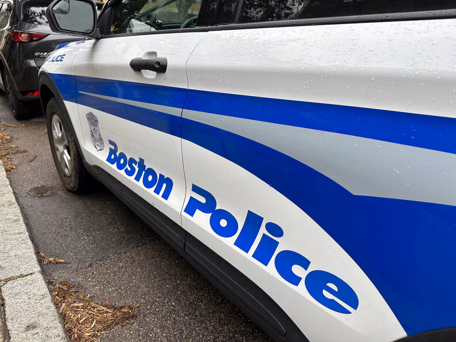 Man hit with baseball bat in homophobic attack in Mattapan, police say
