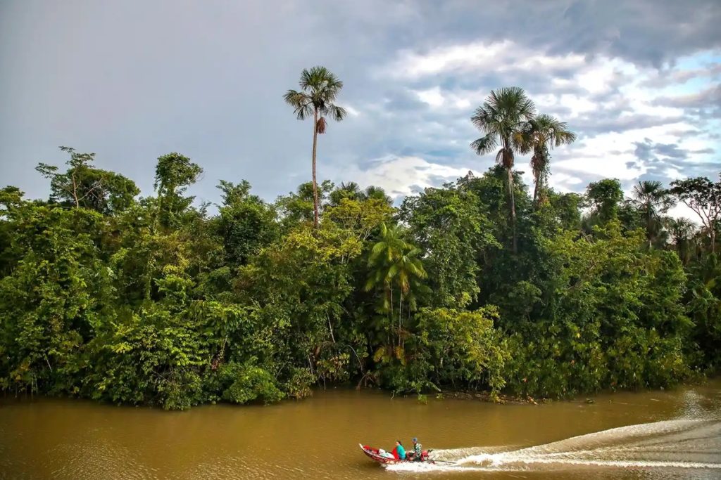 Tech Detox Gone Wrong: Dad Took Son Into Wilderness, May Face Charges