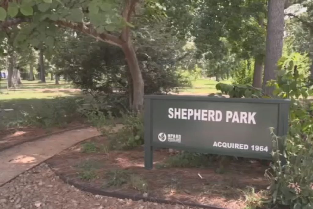 Teen Suspect Caught After Tug-of-War Abduction Attempt in Shepherd Park