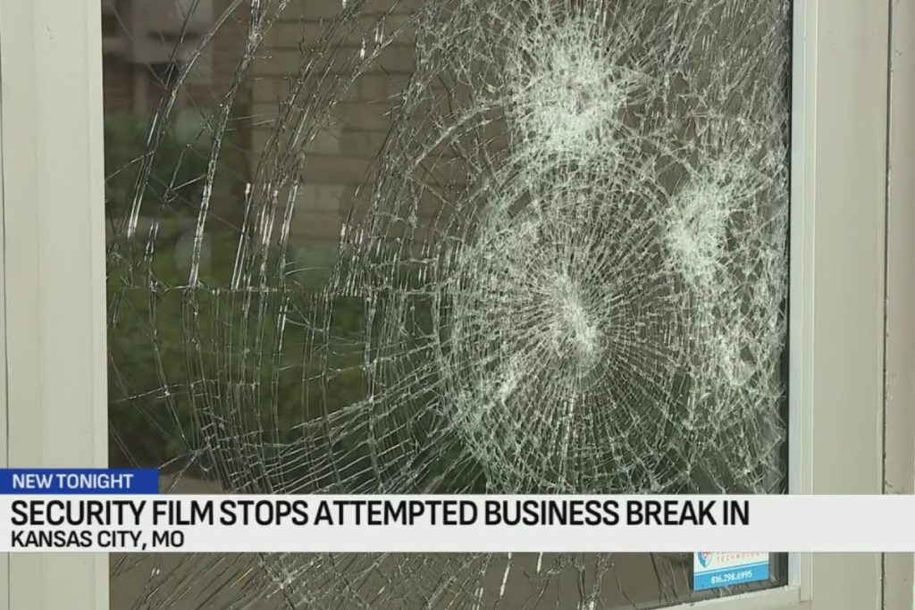 Burglary Attempt at New York Butcher Shoppe in South Plaza Caught on Camera