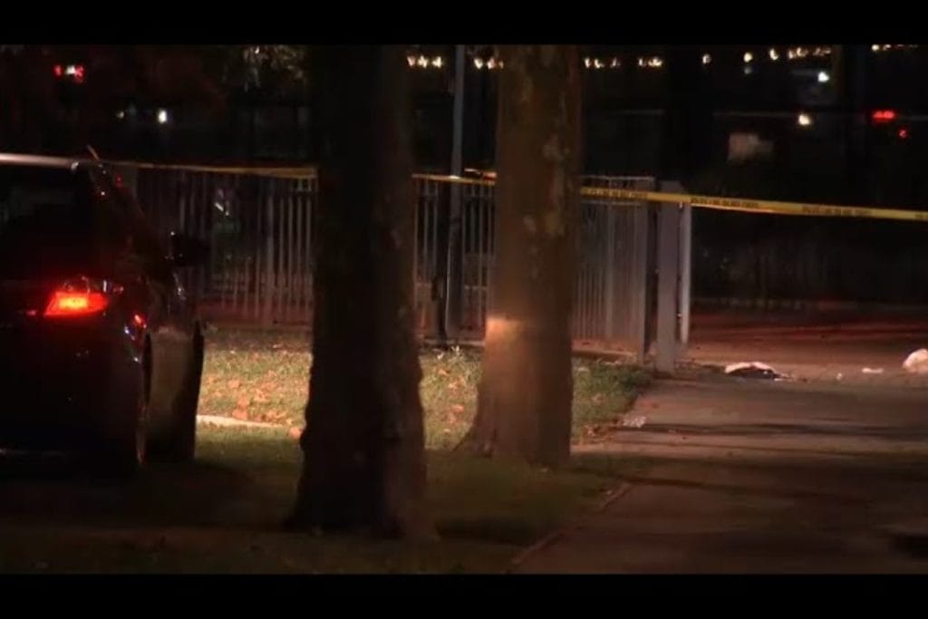 Horror in Queens: Man Shot in Park, Killed Instantly