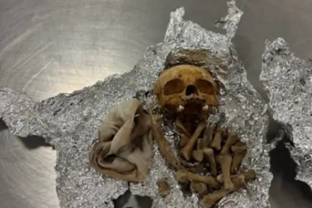 Shocking Find: Human Remains Found in Luggage at Florida Airport for Rituals