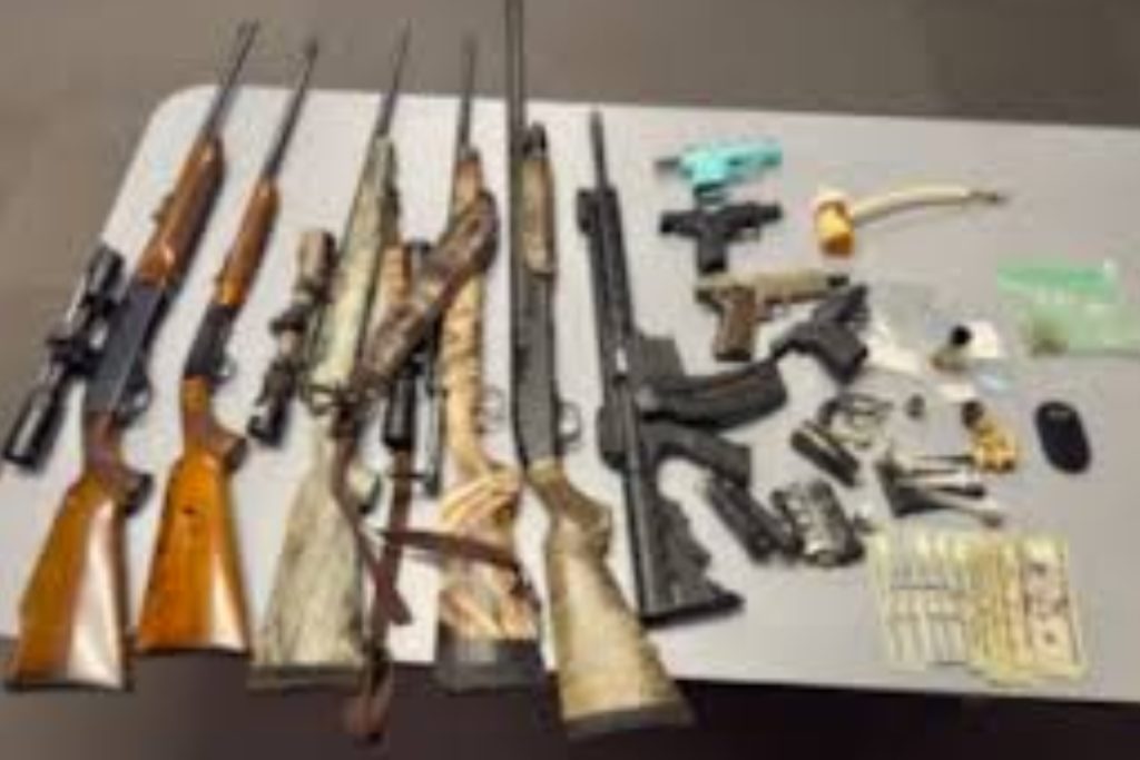 Cops Seize Guns and Drugs in Triple Bust Across Rural Colbert County