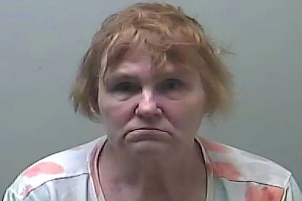 Michigan babysitter drugged girls with mystery syrup before sex abuse photos say cops