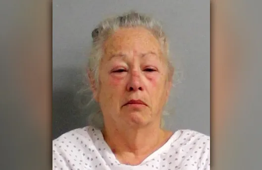 Conn. woman shot man to death while watching ‘Toy Story’ with kid: cops