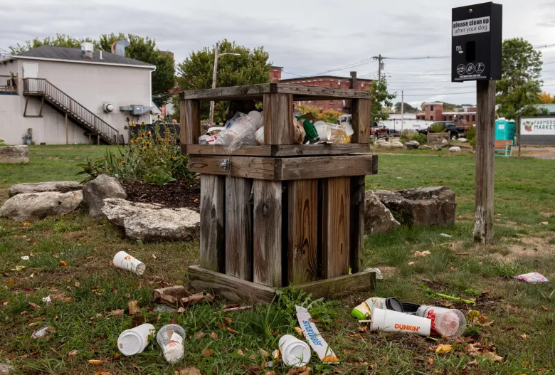 Maine dog owners need to curb the unwanted baggage | Opinion