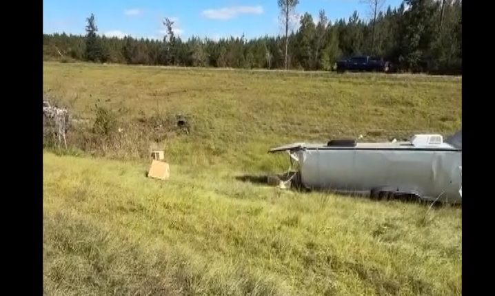 Research monkeys bolt after truck overturns on Mississippi highway