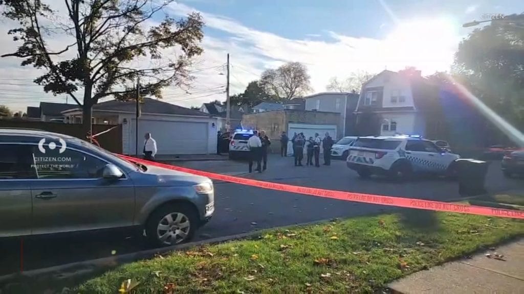 Chicago man charged after shooting at, crashing into CPD squad car in Jefferson Park: police
