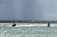 Man charged with taking wallet from elderly shopper at checkout counter