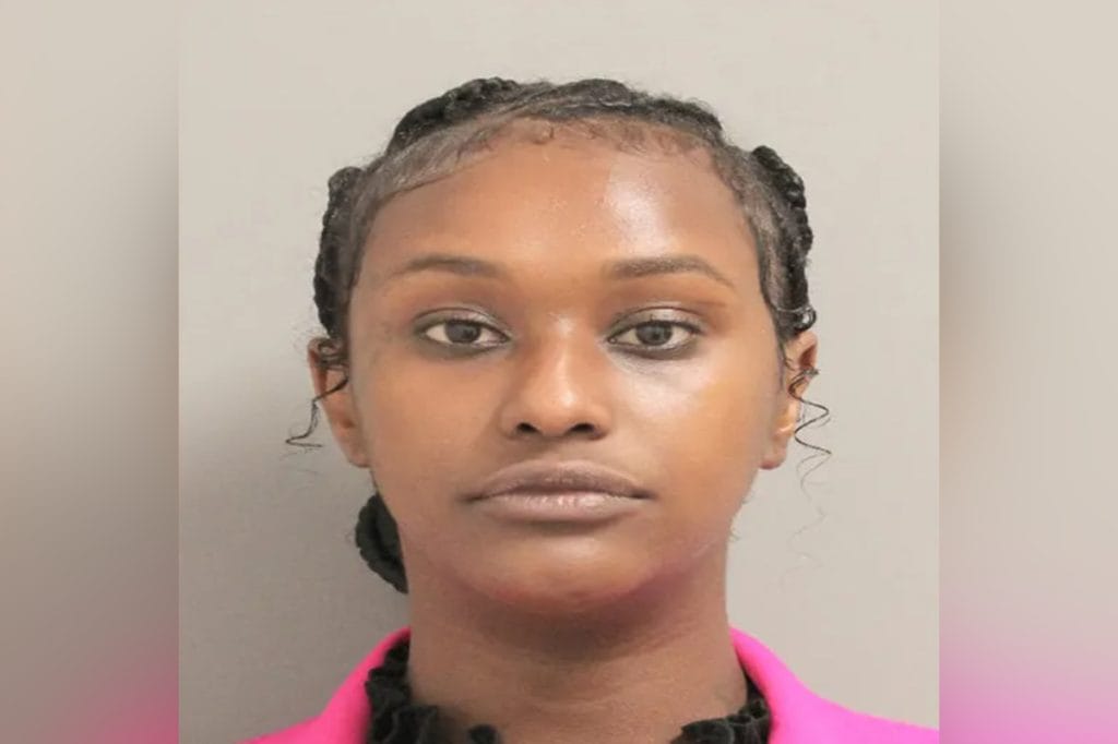 Houston’s ‘Brick Lady’ Sentenced to Probation After Guilty Verdict in $42K GoFundMe Fraud Case