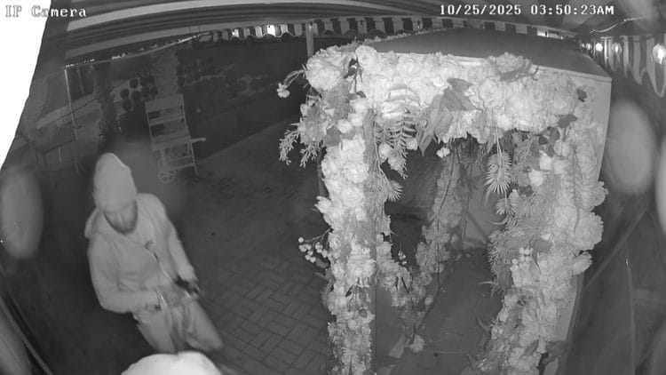 They violated our roses’: Thieves allegedly engage in sexual conduct on restaurant patio before breaking in, stealing cash and liquor