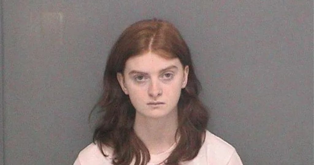 Breaking: Trans Teen Confesses to Planned Valentine’s Day Mass Shooting in Honor of Parkland Shooter