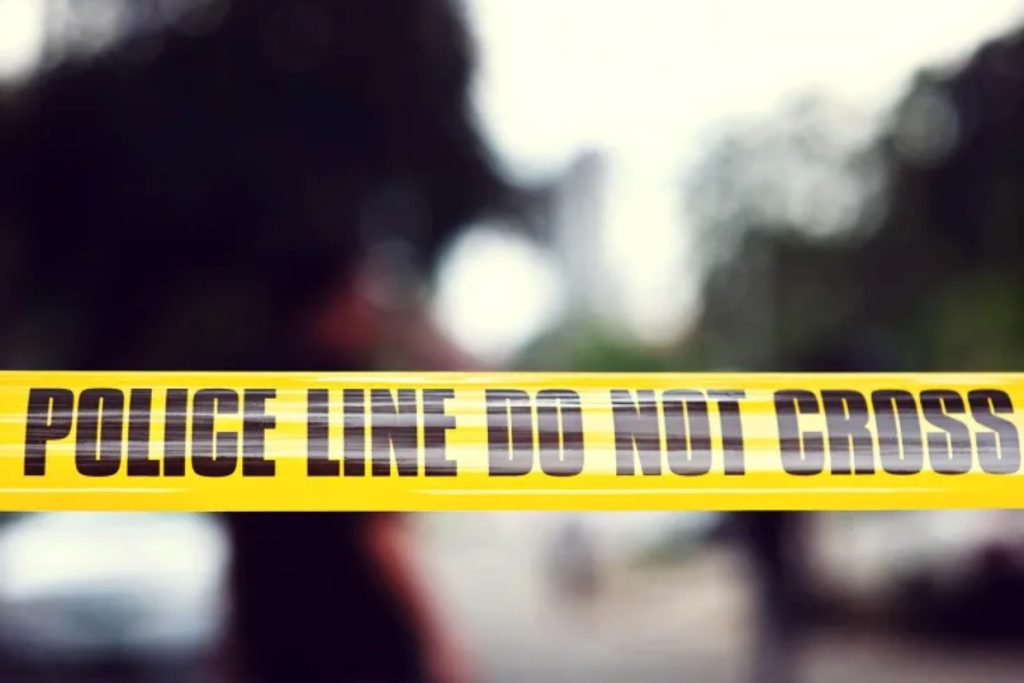 Disturbing Discovery: Woman Reported Dead Dog, Police Reveal Twisted Story