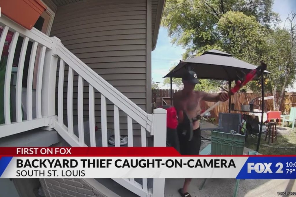 Caught Red-Handed: Thief Steals from Backyard in Broad Daylight