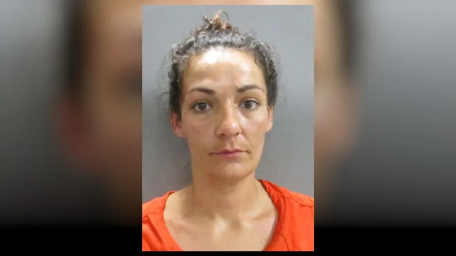 Webb City woman sentenced for police chase and property damage