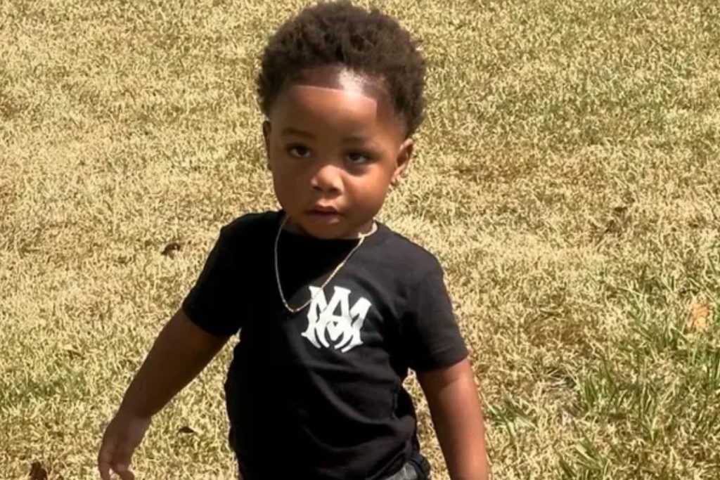 Georgia Daycare Owner Arrested After Dogs Kill 2-Year-Old While She Napped – Shocking Details