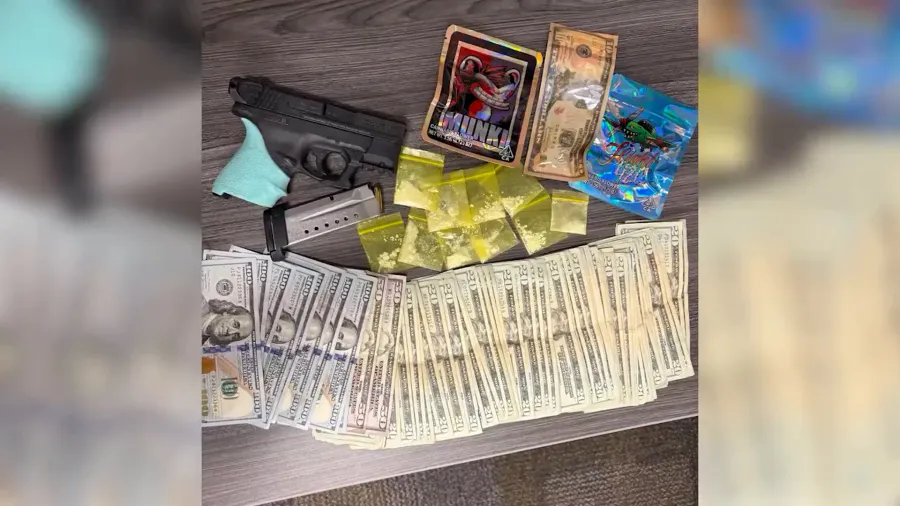 Faulty taillight leads to discovery of stolen firearm and drugs, Hillsborough deputies say