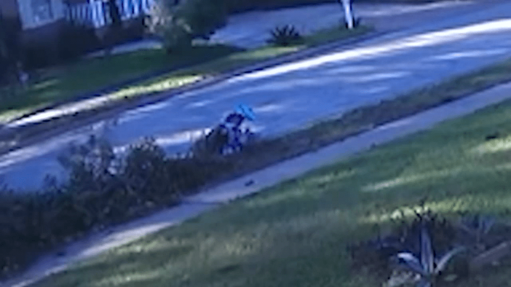 Woman charged with arson in W. Houston, accused of setting fires in yards of 2 homes: charging docs