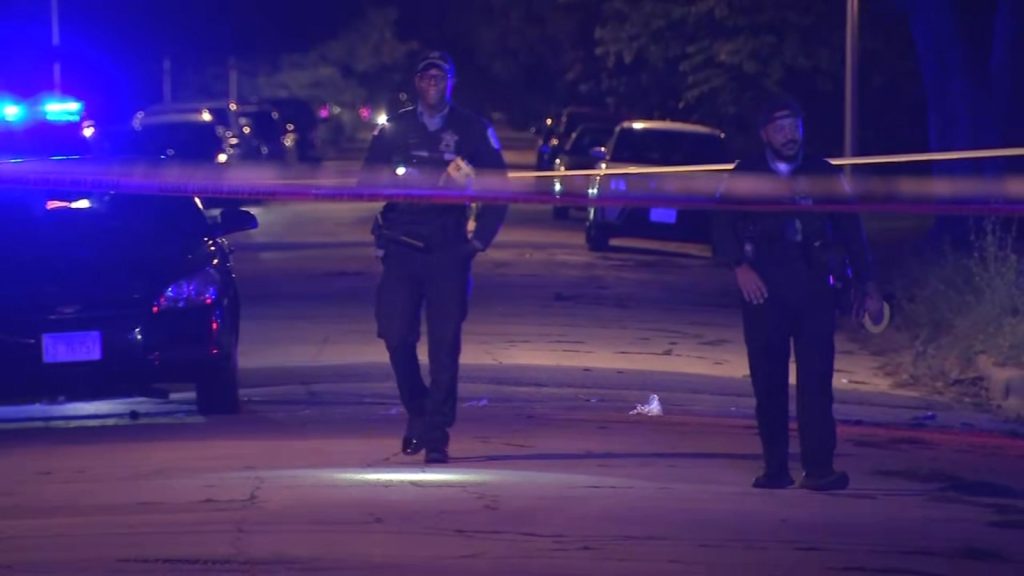 Woman shot, critically injured while standing on Washington Park street: police